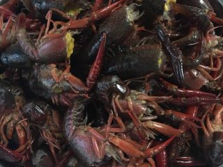 1、花花版油焖虾,1，虾去肠线；2，虾头去掉三分之一；3，用牙刷刷干净虾身；4，盐水清洗虾。