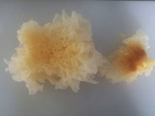 2、银耳雪梨萝卜甜汤,去掉银耳的根