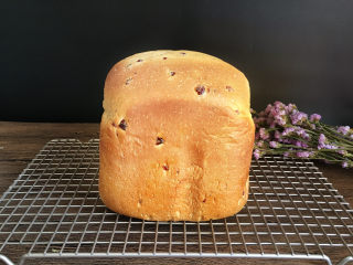 11、红糖蔓越莓吐司,烘烤结束后立即取出，放在晾网上晾凉。