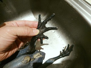 4、霸王別姬,幫她剪指甲時發現她多一爪????