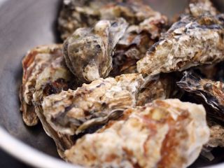 1、辣根海蛎子#人民的美食#,这是买回来的海蛎子，放入盆中……