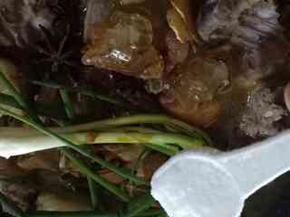 5、姜母鸭,加入适量生抽、八角、冰糖、葱、适量盐（我用了调料瓶里一勺量的盐）