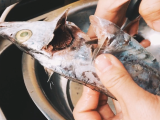 1、【cathy边吃边营养】香煎带鱼,首先剪去带鱼的鱼头，cathy推荐大家使用V字型的剪法来剪去带鱼鱼头，这样可以保留住带鱼更多的鱼肉，避免浪费