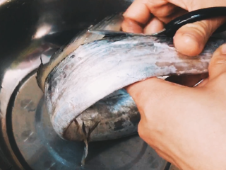 2、【cathy边吃边营养】香煎带鱼,减去鱼鳍