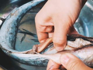 3、【cathy边吃边营养】香煎带鱼,用剪刀破开带鱼的肚子，将带鱼的内脏和黑膜掏出，其实这一步并不复杂，大家只要用大拇指抵住带鱼的黑膜，稍一用力便可将带鱼的黑膜和内脏一起掏出，