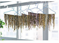 5、家庭自制干豆角,太阳直射三天就差不多了