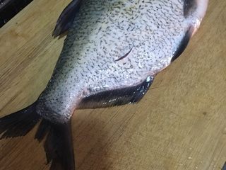 1、「吃货久久」这样蒸鱼我一人可以吃一条,我买的鳊鱼 刺少肉嫩 大小合适 蒸熟快