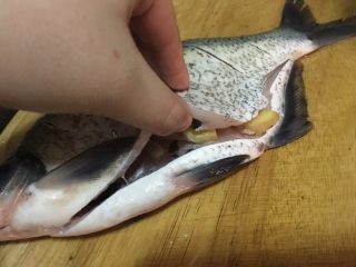 5、「吃货久久」这样蒸鱼我一人可以吃一条,鱼两面用料酒抹匀去腥 两侧鱼鳃分别塞一片大蒜 姜片 鱼肚塞入大蒜姜片和小葱几段