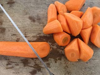 16、肇实灵芝片煲肉骨汤,然后滚刀块切胡萝卜，