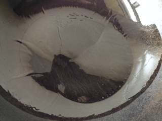 9、虫草花拌红极参,锅中倒入少许油