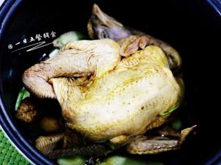 3、盐焗手撕鸡,把腌制好的三黄鸡放入电饭煲,先脚那面朝天。盖盖。接通电源按下煮饭档。