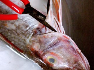 2、吃掉一朵花+萝卜丝柳叶包&清炖红蟹鱼汤,用剪刀去掉内脏和鱼须