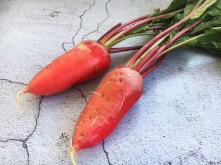 4、肉末黄豆烧水萝卜,准备好新鲜的水萝卜。