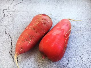 5、肉末黄豆烧水萝卜,将水萝卜的缨子去掉，清洗干净。