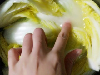 8、侗乡酸白菜,水差不多浸满白菜即可，不要太多。