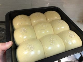 11、法式小餐包（一次发酵法）,面团发酵到挨个挤在一起，取出方盘，刷上一层全蛋液，撒上芝麻
