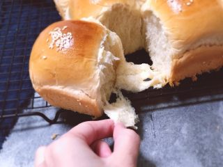 16、法式小餐包（一次发酵法）,超级拉丝的哦