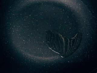 16、黑椒牛柳烩意粉,中火,锅里放5g橄榄油