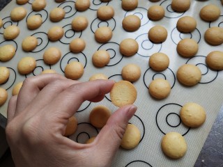 17、童年蛋黄小饼干,底部上色也刚刚好