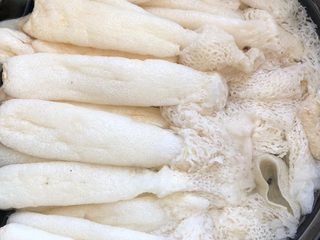 2、竹荪鸡汤,用清水浸泡半个小时，让竹荪充分的吸收了水份，成条条饱满，根部去掉干净。