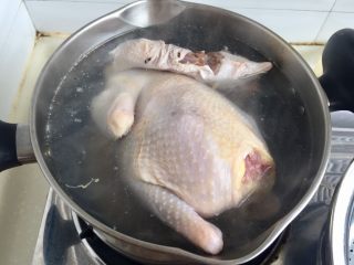 12、冬日进补系列➕当归黄芪枸杞鲜鸡汤,坐锅烧水,放入整鸡,水开,再烫两三分钟,捞出洗去浮末。