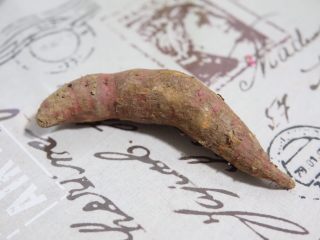 1、红薯开花馒头,首先制作A面团，准备好一个红薯