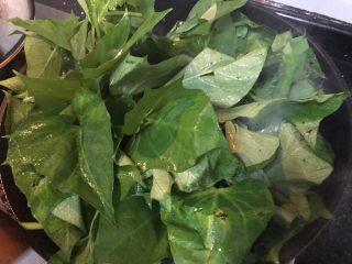 22、超满足便当（19）,放入番薯叶