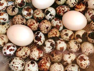 1、卤茶叶蛋-家庭版,洗干净放锅，水没过蛋即可，煮5-6分钟捞出.。个别蛋在煮的过程中会破掉。