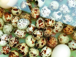 2、卤茶叶蛋-家庭版,放入冷开水里，方便剥壳，顺便把蛋均匀敲出裂纹。