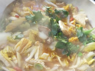 3、零基础家常炖菜之白菜粉条炖豆腐,最后放入一点香菜，可有可无。