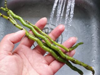 4、鲜铁皮石斛汁,再用清水冲洗干净