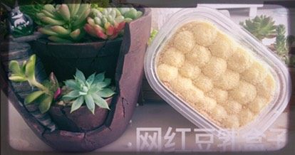 30、家庭版豆乳盒子,和我的肉肉们来个合影