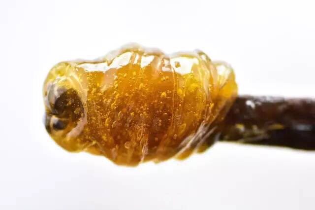 左三圈右三圈——麦芽糖制作大图解