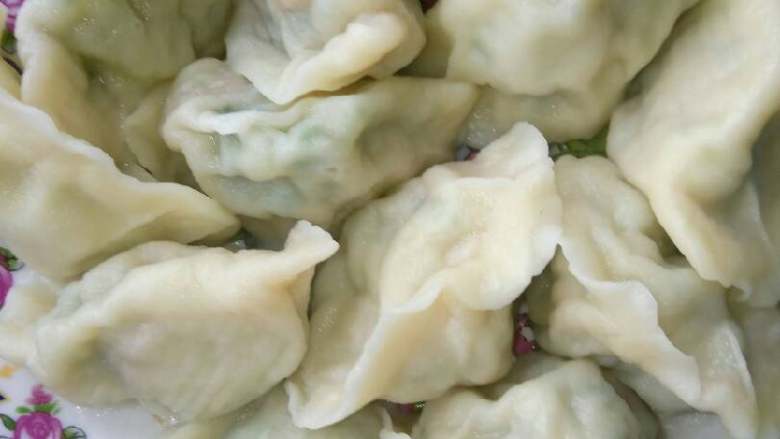 葫芦瓜猪肉金钩海米馅饺子