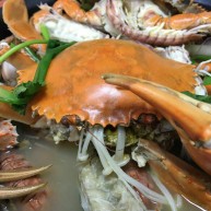 皮皮虾偶遇螃蟹