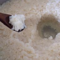 家庭简易版自制酒酿