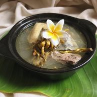 咸味鳄鱼龟石斛汤