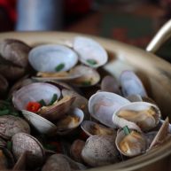 深夜食堂之酒蒸蛤蜊