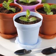 爆红的甜品盆栽芝士蛋糕