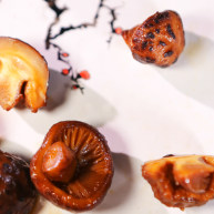 醉香蕈一颗喝醉的香菇拯救换季不安的食欲